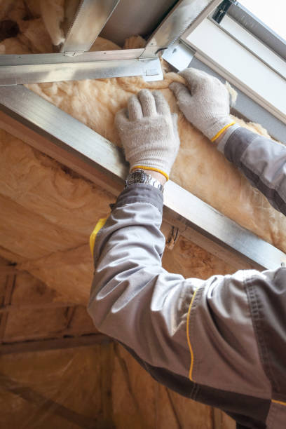 Best Wall Insulation Contractor  in Marlin, TX