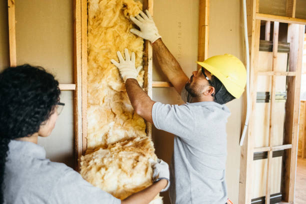 Best Energy-efficient Insulation  in Marlin, TX