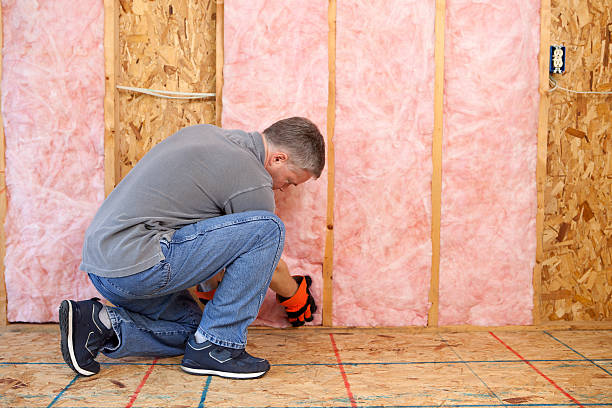 Best Home Insulation Services  in Marlin, TX