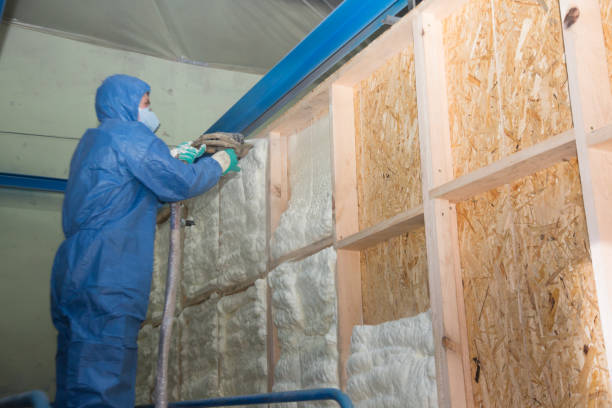 Best Home Insulation Services  in Marlin, TX