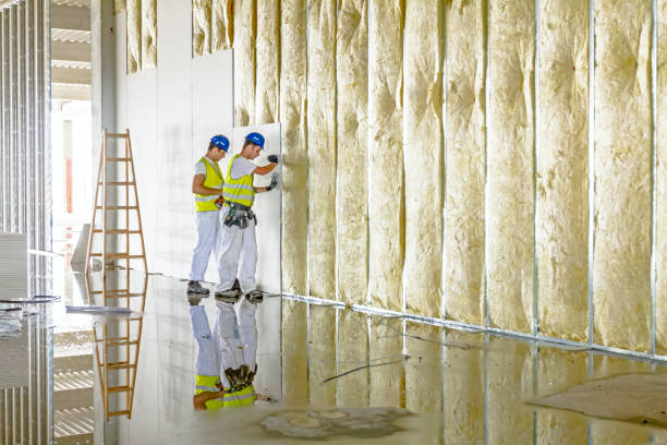 Best Attic Insulation Installation  in Marlin, TX